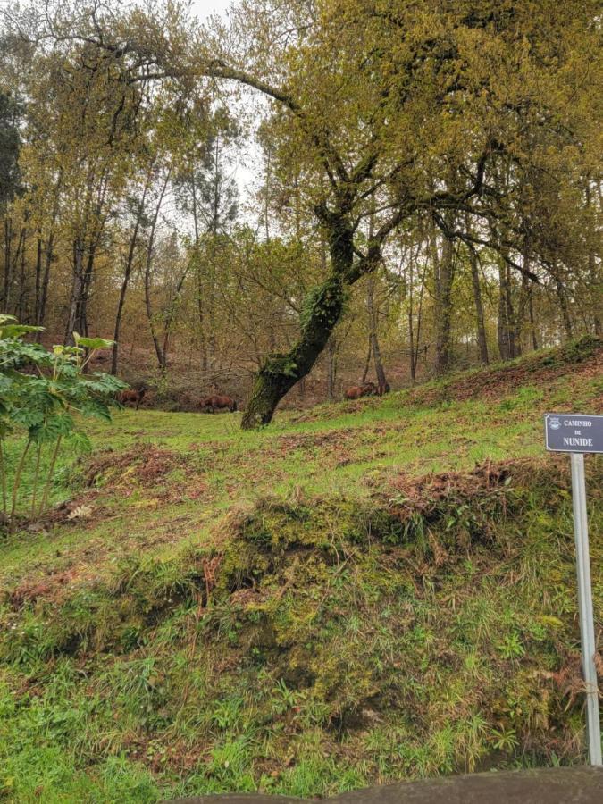 阿尔库什迪瓦尔德维什Quinta Da Picouta别墅 外观 照片