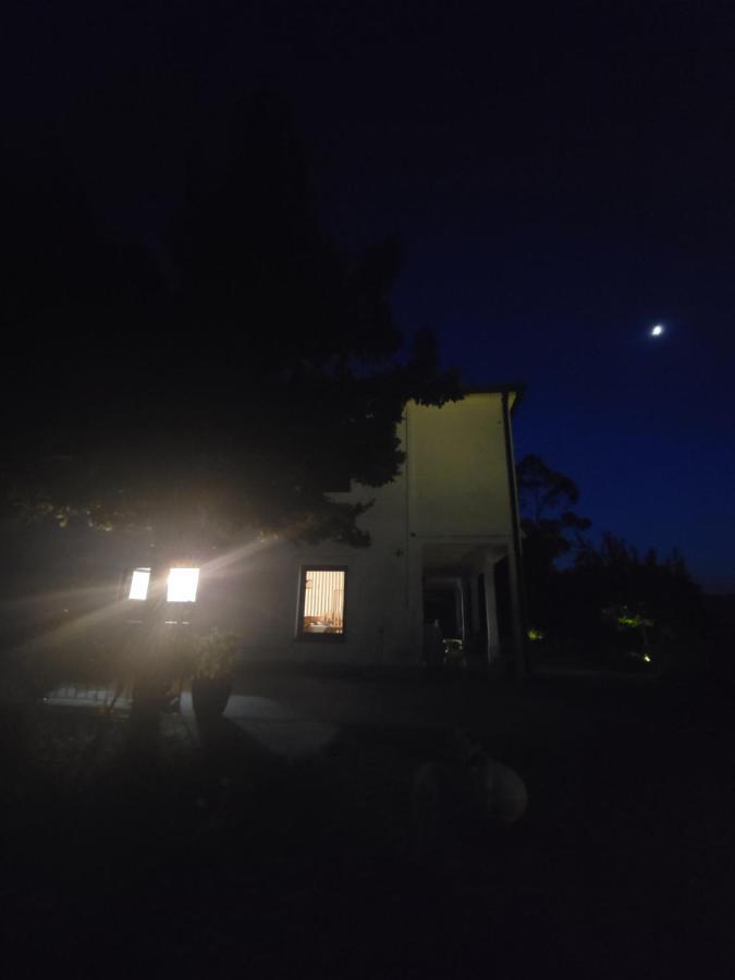 阿尔库什迪瓦尔德维什Quinta Da Picouta别墅 外观 照片