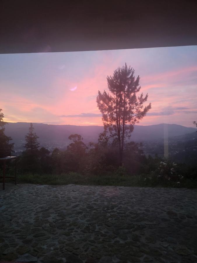 阿尔库什迪瓦尔德维什Quinta Da Picouta别墅 外观 照片