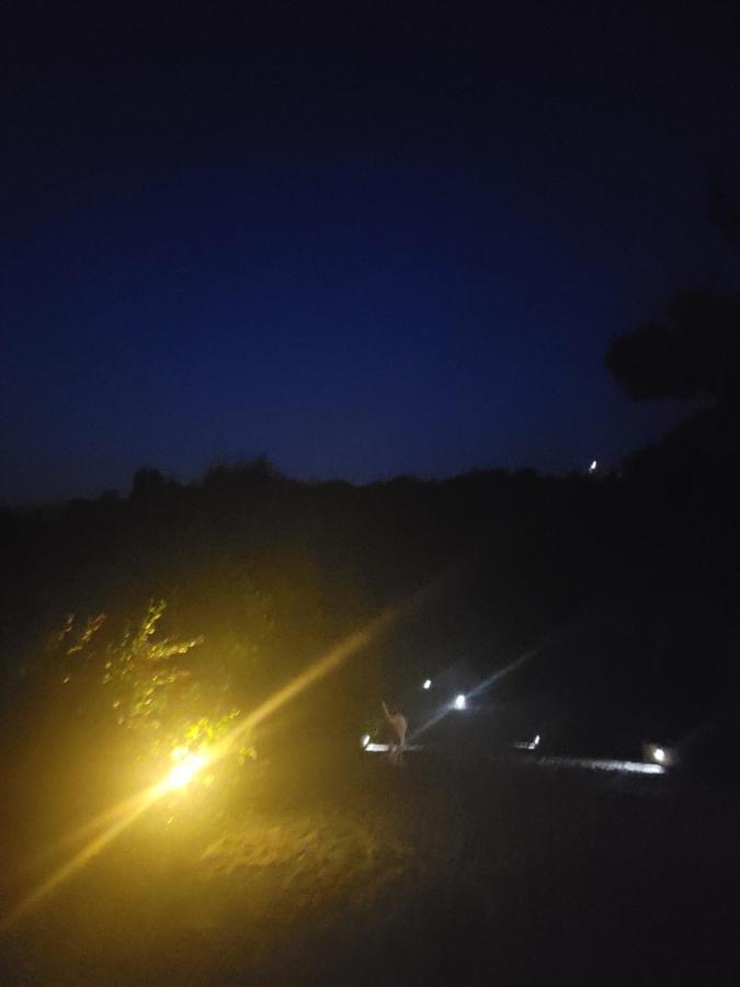 阿尔库什迪瓦尔德维什Quinta Da Picouta别墅 外观 照片