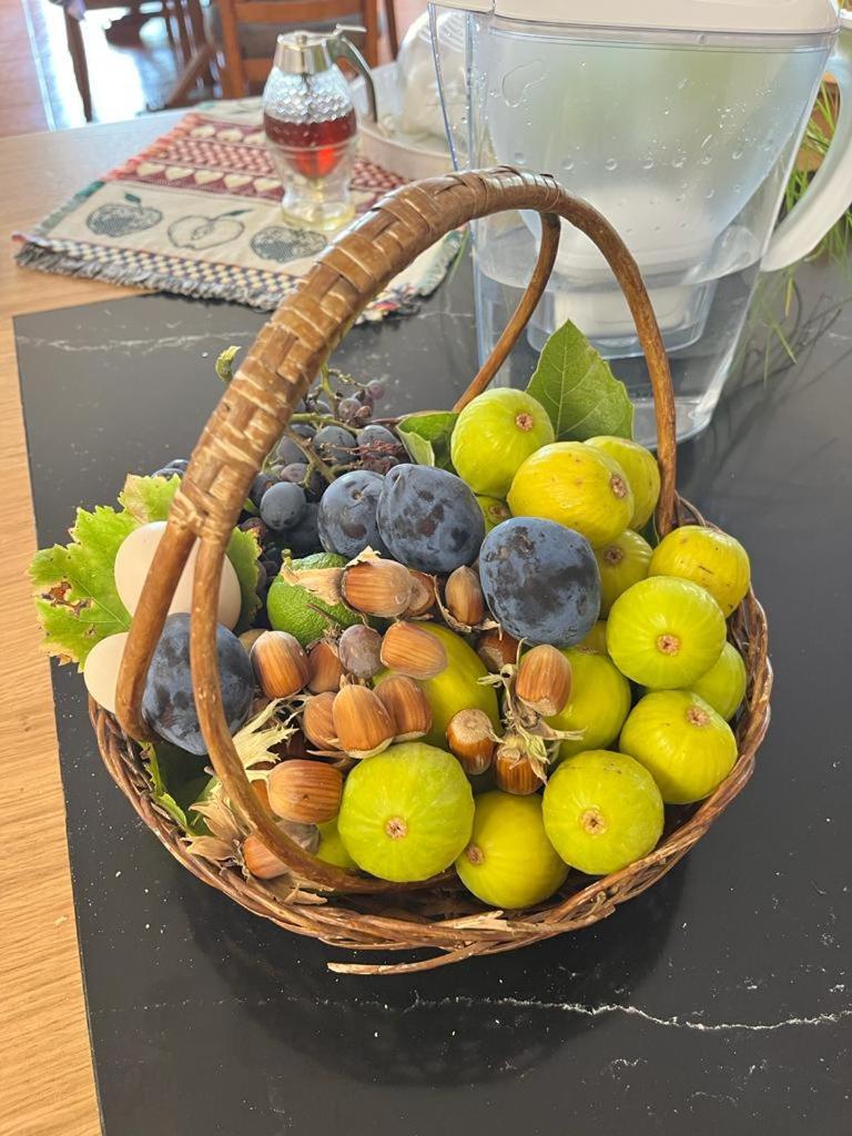 阿尔库什迪瓦尔德维什Quinta Da Picouta别墅 外观 照片